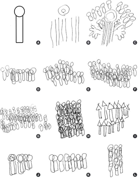 Fig. 3. Visual assessments of polyopia and palinopsia in response to an original object in a patient with occipital lobe epielpsy (A)