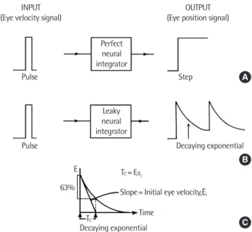 Fig. 2. Quantitative aspects of the neural integrator. (A) For saccades, the input  to the neural integrator is a pulse, which may be thought of as an eye velocity  signal