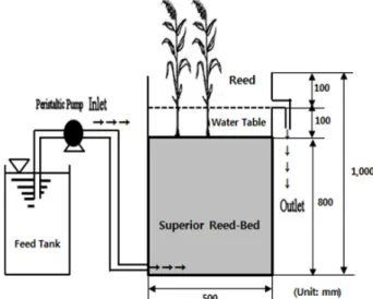 Fig. 1. Conceptual diagram of the upflow constructed wetland.