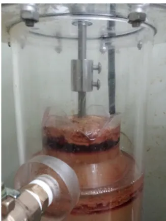 Fig. 1. Separate scum from food waste leachate.