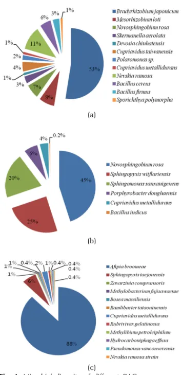 Fig. 4. Microbial diversity of different BAC processes. 
