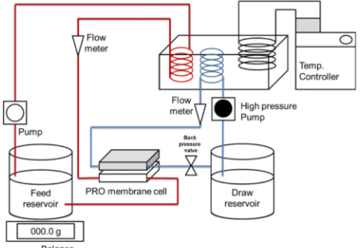 Fig. 1. Flow Diagram of lab-scale PRO process. Effective  membrane area was 2.5 x 7.5 cm 2  with 0.1 cm of  height