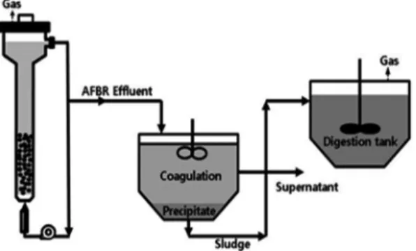 Fig. 1. AFBR followed by coagulation process.