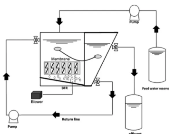 Fig. 2.  Schematic diagram of biofouling formation reactor (BFR).
