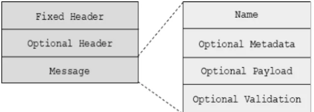 Fig. 1. CCN Message Format