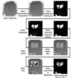 Fig. 3. Task Flow Chart for Lying-Pigs Detection