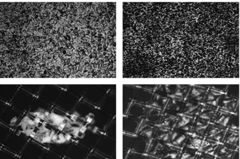 Fig. 12.  Microscopic observation image of (a) anode surface (b) cathode surface (c)spacer ; inorganic scale (d)spacer ; biofouling.