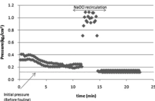 Fig. 14.  Variation of inner pressure according to the recirculation  time with NaOCl.