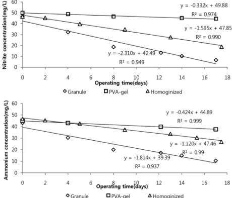 Fig. 2. Change of anammox activity during immobilization steps. 