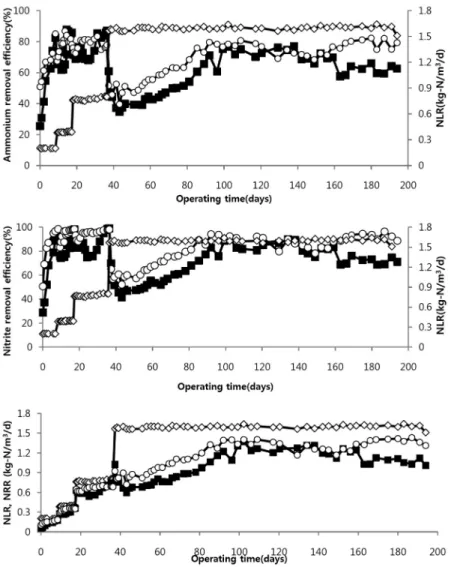 Fig. 3.  Evaluation  and  comparison  of  nitrogen  loading  rate(NLR),  nitrogen  removal  rate(NRR),  ammonium  and  nitrite  removal  effi- effi-ciency(%) depending on influent nitrogen concentration in the continuous operation