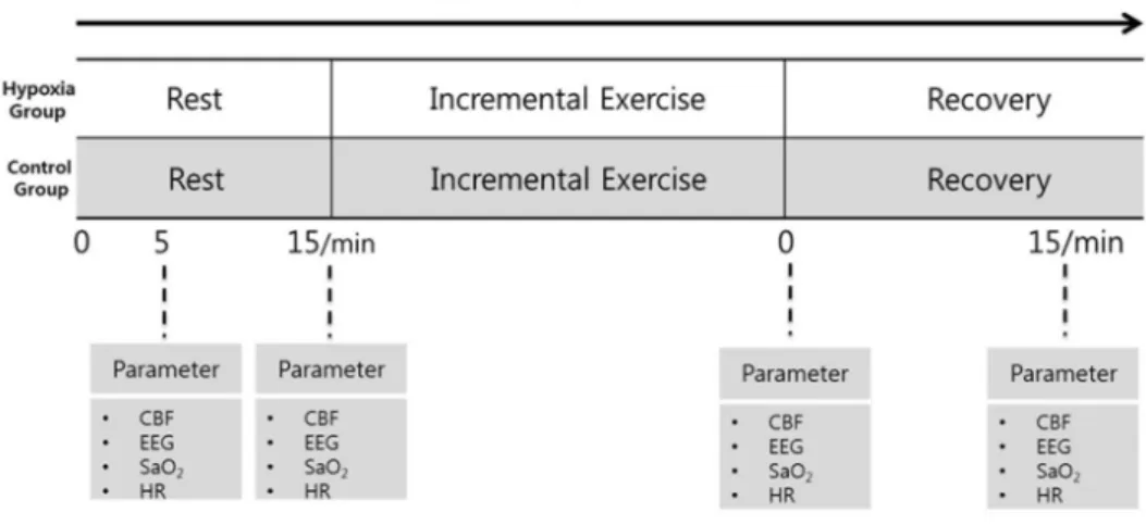Figure 1. Experimental procedures. 