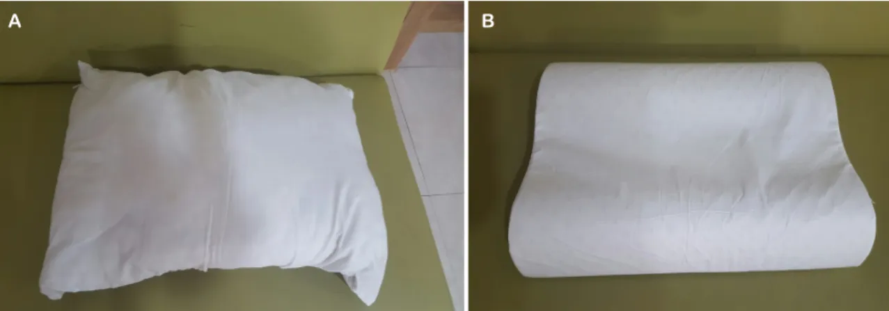 Figure 1. Type of pillow material. (A) Buckwheat pillow and (B) latex pillow.인과도 연관이 있다