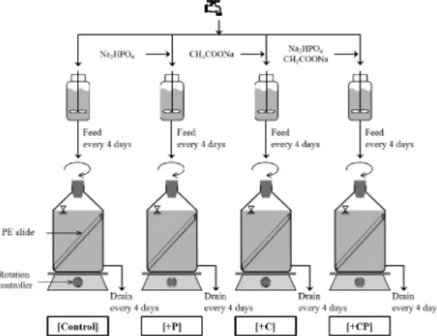 Fig. 1. Schematic diagram of the experimental set-up.