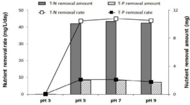 Fig. 2. Effects of the pH on T-N and T-P removal