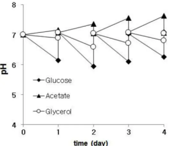 Fig. 4.  Effects of carbon sources on final dry weight and specific  growth rate of C