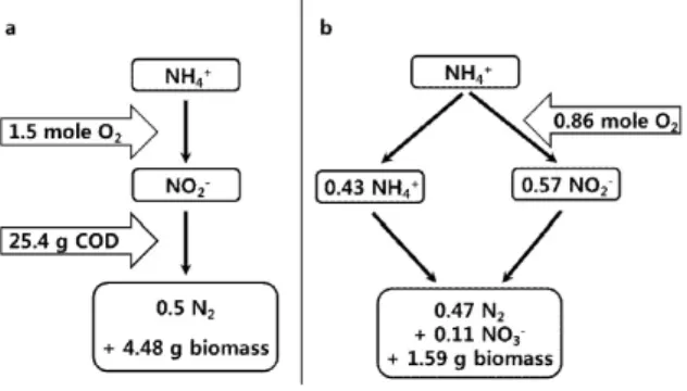 Fig. 3.  Progress diagram of simultaneous nitrification denitrifica- denitrifica-tion (SND) and anaerobic ammonium oxidadenitrifica-tion  (ANAM-MOX).