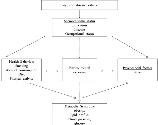 Figure 1. Modified generalized conceptual model of potential pathway through which social status is linked to health.