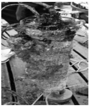 Fig. 2. Damaged Underwater Sensor by fouling[11]