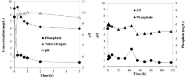 Fig. 3.  Phosphate and total nitrogen removal of WWTP effluent  at lab-scale experiments with external electricity of 600 V  (left) and without electricity (right) at flow rate 10 mL/min  (HRT: 36 min).