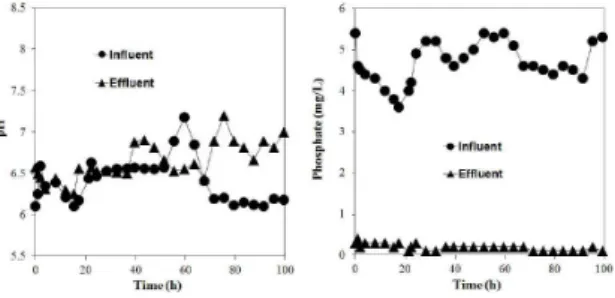 Fig. 4.  Variation of pH (left) and phosphate (right) before/after the  treatment  without  external  electricity  in  large-scale  field  experiments (HRT: 35 ～ 36 min).