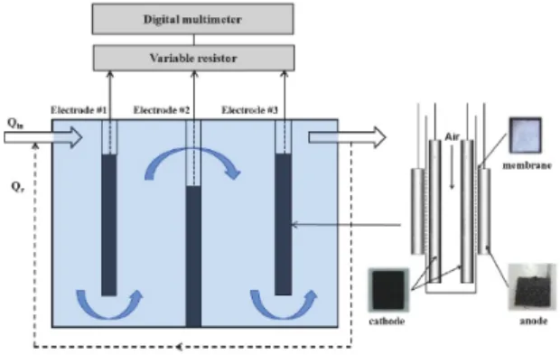Fig. 1.  Schametic diagram of continuous flow microbial fuel cell  (MFC)