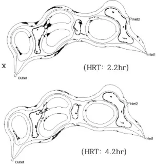 Fig. 3.  Estimated  results  of  dead  zone  of  Y  constructed  wet- wet-land