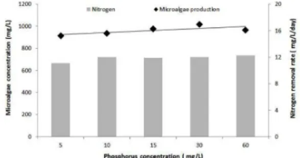 Fig 1.  Effects of initial phosphorus concentrations on microal- microal-gae production and nitrogen removal rate