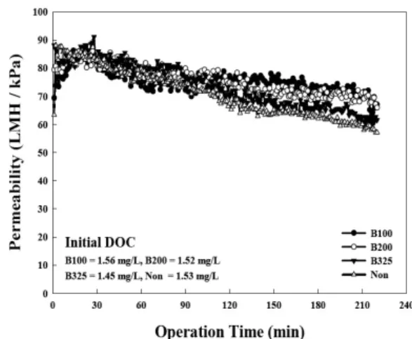 Fig. 5. Permeability curve for activated carbon B