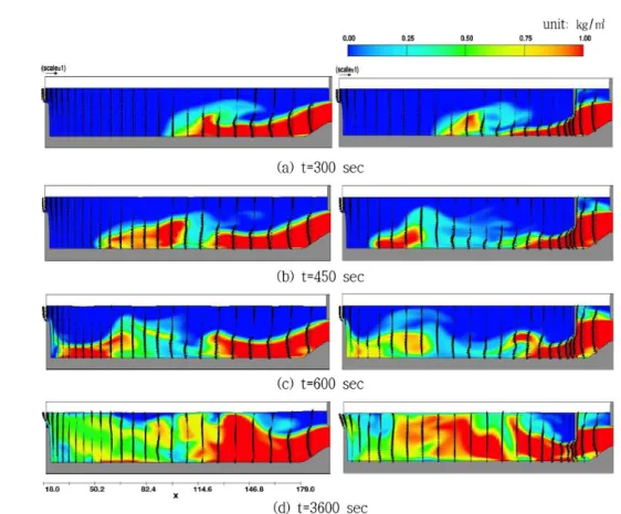 Fig. 11.  Numerical simulation for sediment-induced density currents (d s =0.2 mm, concentration 1.0 kg/m 3 )