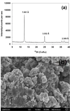 Fig. 1. XRD pattern (a) and SEM image of synthetic Na-birnes- Na-birnes-site (b).