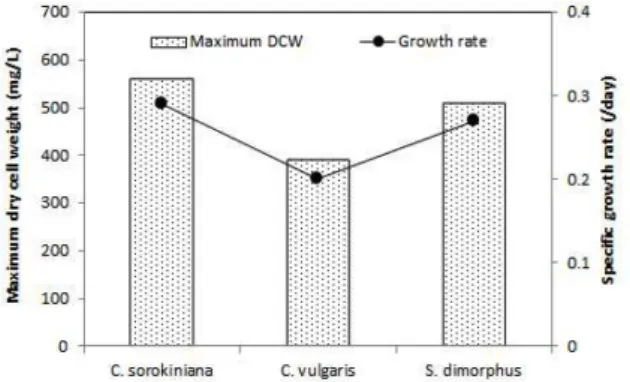Fig. 1. Maximum dry cell weight and specific growth rate de- de-pending on microalgae species