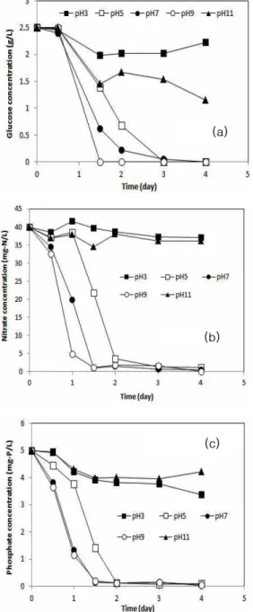 Fig. 4는 mixotrophic 조건에서 C. soroki- soroki-niana 배양시 폭기량에 따른 최대 성장량과 비 성장률을 나타낸 것으로 폭기시가 미폭기시 보 다 2배 이상 높게 나타났다