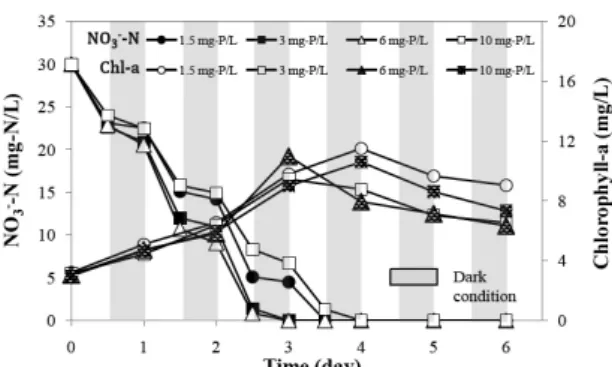 Fig. 6. PO 4 3- -P removal of C. vulgaris by phosphorus concentrations