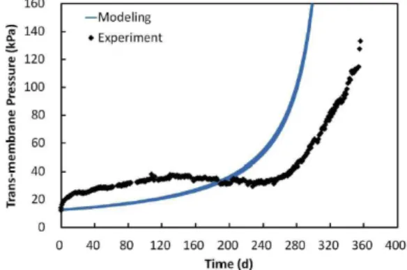 Fig. 4는 Phase II, 즉 Phase I 종료 후 CIP 를 실시한 후의 운전 데이터를 이용하여 본 연구 에서 개발된 진단 기법을 적용한 사례이다