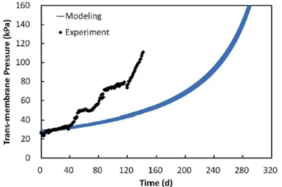 Fig. 6은 Phase IV의 운전 데이터를 이용하 여 막여과 공정 진단 기법을 적용한 사례를 나타 낸다. 운전을 시작한 후 40일 동안은 정상 상태 (기준 차압 ≥ 실제 보정차압)였지만, 이후 문제 상황(기준 차압 < 실제 보정차압)에 돌입하게 되고 CIP 시기가 될 때까지 정상 상태로 회복되지 않았다