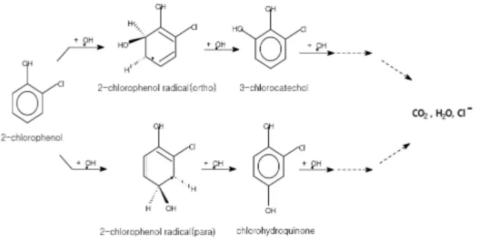 Fig. 6. A proposed degradation pathway of 2-chlorophenol in  aqueous phase by a photo-Fenton process.