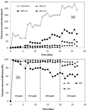 Fig. 2.  Toluene concentrations at inlet and outlet of IBR, SBR  and CBR(a) and removal efficiencies(b)