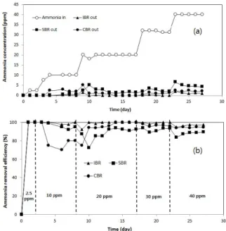 Fig.  4.  Ammonia  concentrations(a)  and  removal  efficiencies(b)  of IBR, SBR and CBR during the complex injection with toluene  and ammonia 