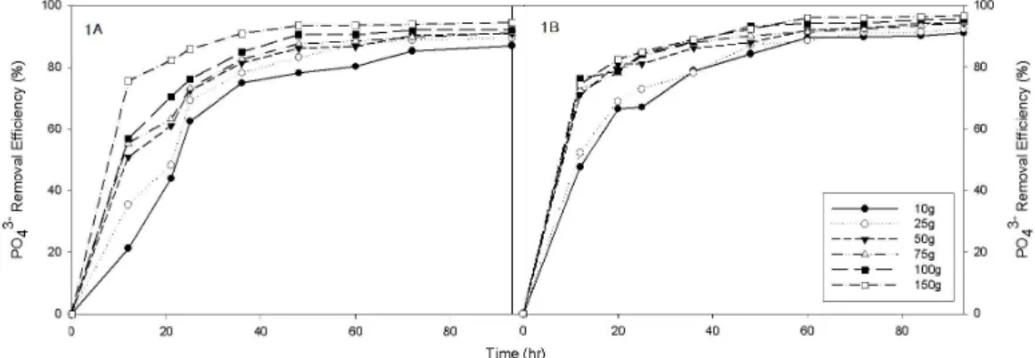 Fig. 1. Removal efficiency of PO 4 3-  for the convert slag PS A  (1A) and PS B  (1B).