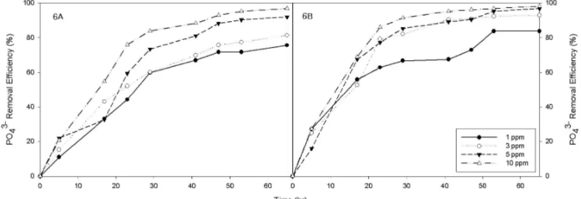Fig. 5. Profiles of PO 4 3-  removal efficiency during 65 hours of experimental period at the initial solution pH of 7.0(5A) and 7.5(5B).