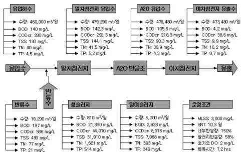 Fig. 1. Schematic diagram of mass balance for analyzing A 2 O process. 
