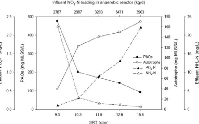 Fig.  3.  Simulation  results  of  microbial  changes  and  effluent  PO 4 -P and NH 4 -N based on SRT change.