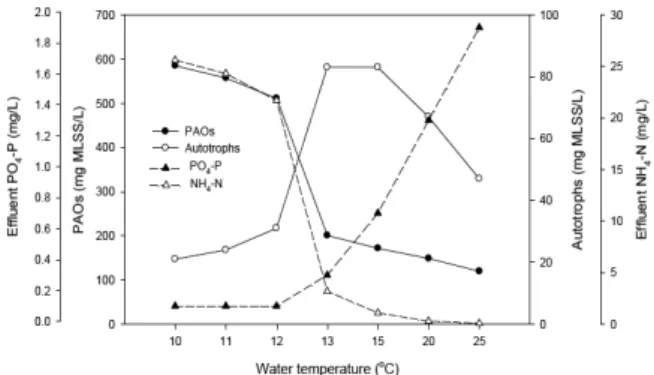 Fig.  4.  Simulation  results  of  microbial  changes  and  effluent  PO 4 -P and NH 4 -N based on temperature change.