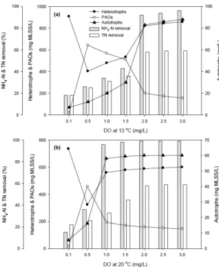 Fig. 5. Simulation results of nitrification and denitrification rates and microbial changes based on DO change.