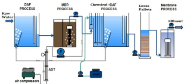 Fig. 2. Schematic diagram of the experimental process