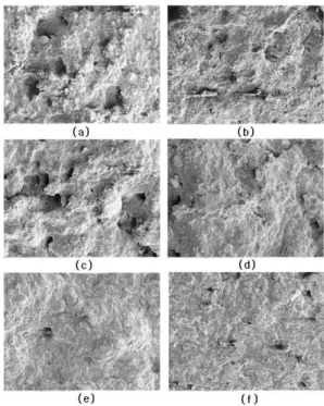 Fig. 4.  SEM images (magnification: x 200) before and after phos- phos-phate  adsorption  of  loess  pallets  activated  in  different  temperatures (a),(b) 350 ℃; (c),(d) 400 ℃; (e),(f) 800 ℃