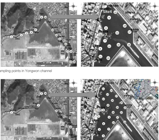 Fig. 2. Second sampling points in Youngwon channel 