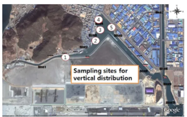 Fig. 10과 Fig. 11을 보면, TN은 Site 2와 Site  3 지점의 용출량이 많으며 Site 1의 20 cm, Site  3의 50 cm, Site 4의 40 cm Site 5의 20 cm  깊이 부근까지의 퇴적토가 비교적 오염된 상태 를 보였다