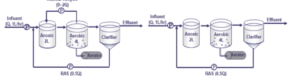 Fig. 1. Schematic diagram of reactors