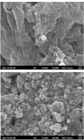 Fig. 3.  SEM Images of CNT Cathode: (a) CNT Cathode without  catalyst, and (b) CNT Cathode with Fe-Cu-Mn